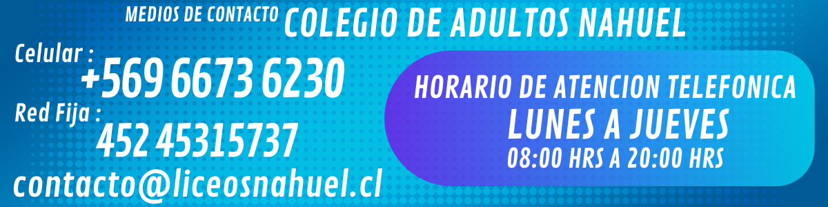 mailto:contacto@lieosnahuel.cl